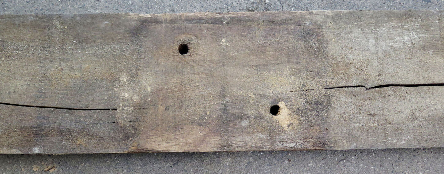 Egetræ fra Operaen - bagsiden af bjælken