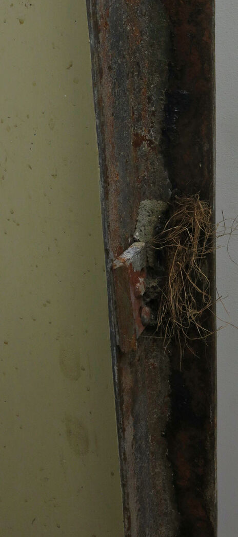 Gammel ståldør fra 40éren