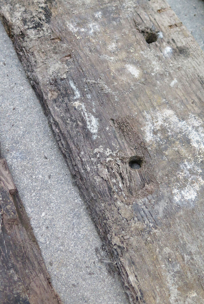 Egetræ fra Operaen - bagsiden af bjælken, frasorteret