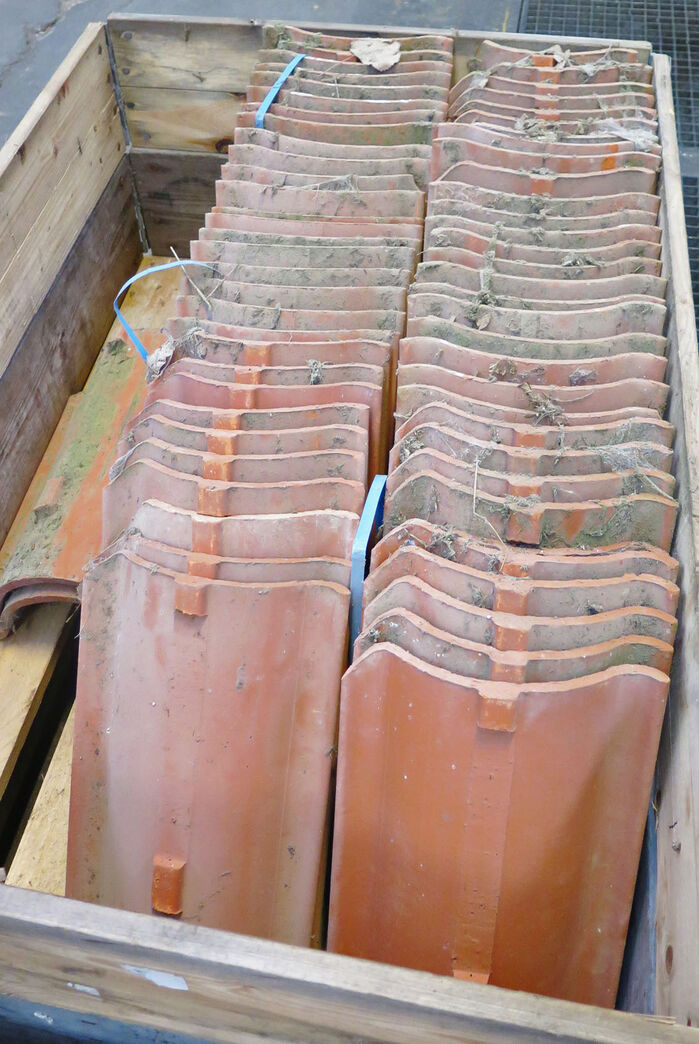 Røde vingetegl - dobbeltvinget.