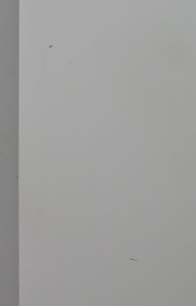 Indvendig dør uden karm M9