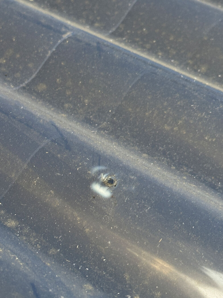 PVC bølgeplader, samlet parti - 100 m2