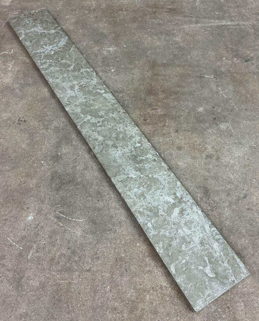 Ølandssten med to fossiler