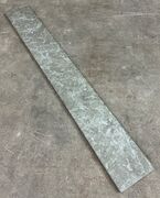 Ølandssten med to fossiler