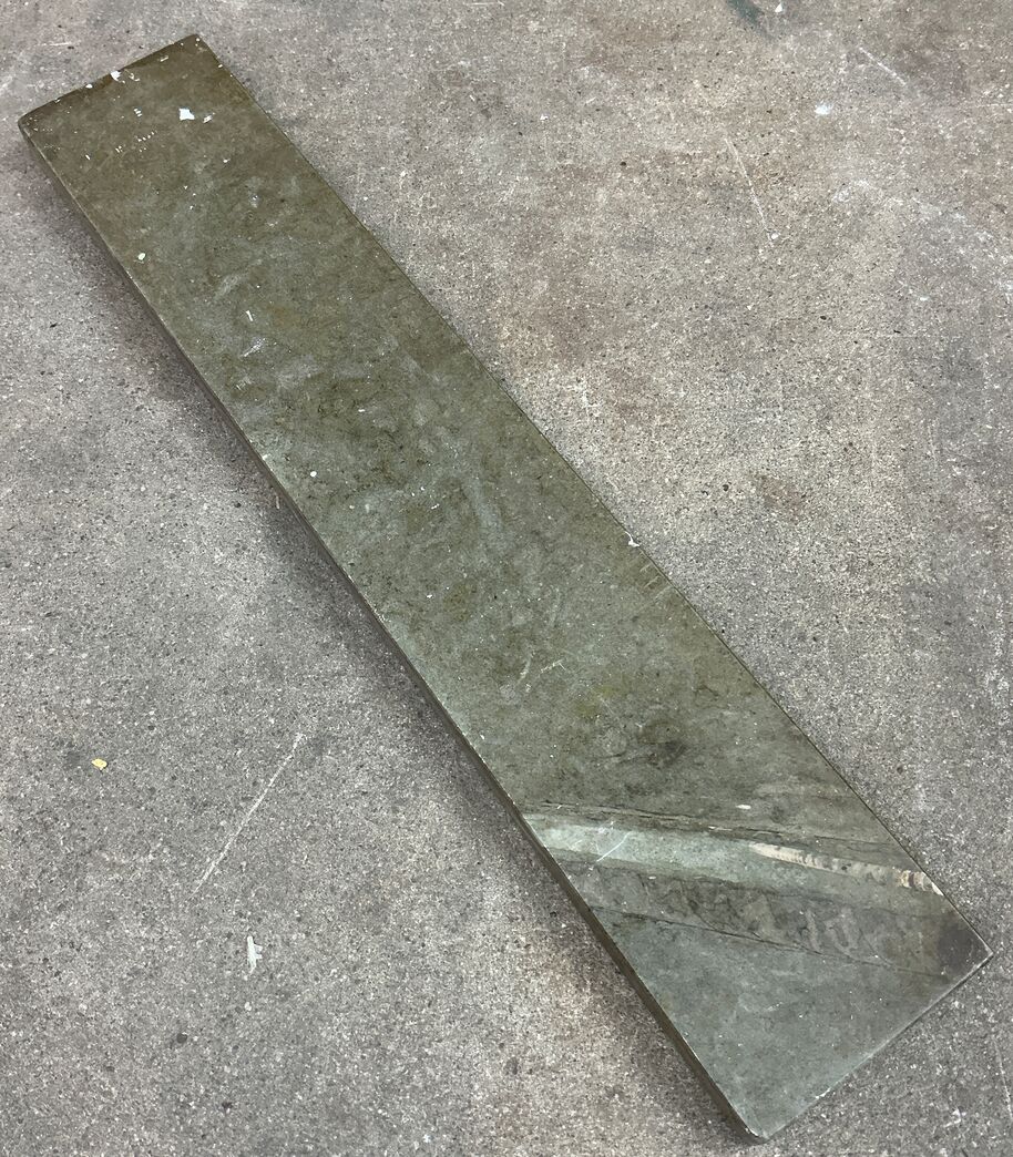 Ølandssten med 22 cm. fossil