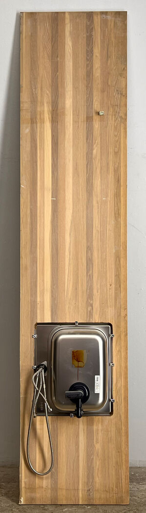 Køkkenbordsplade med vask - 298 cm