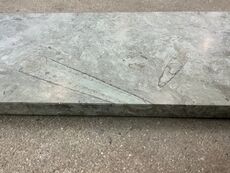 Ølandssten med to fossiler