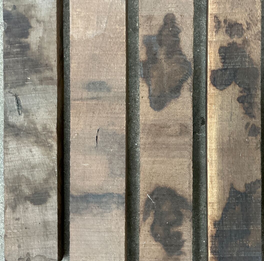 Panga Panga 25x75x600 mm