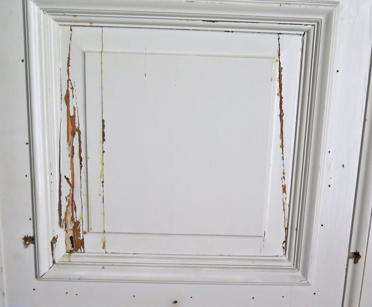 Fyldningsdør med karm (med skade)