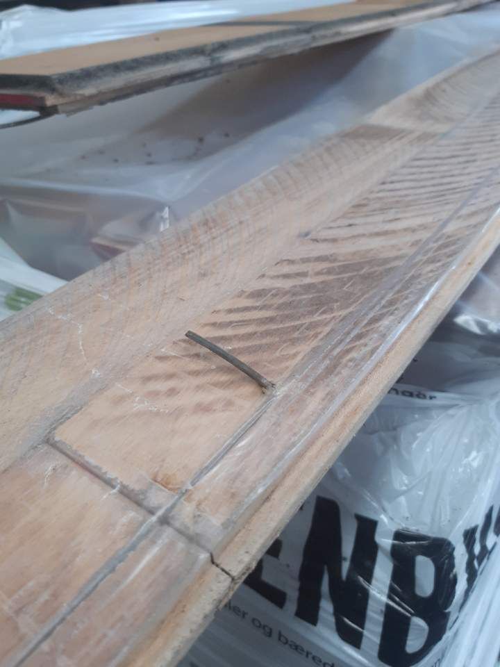 Bøgeparket fra sportshal