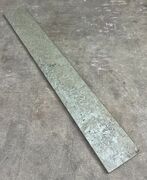 Ølandssten med to 14 cm fossiler