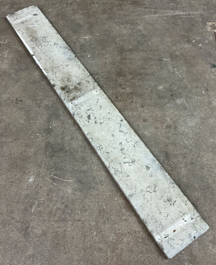 Ølandssten med to fossiler