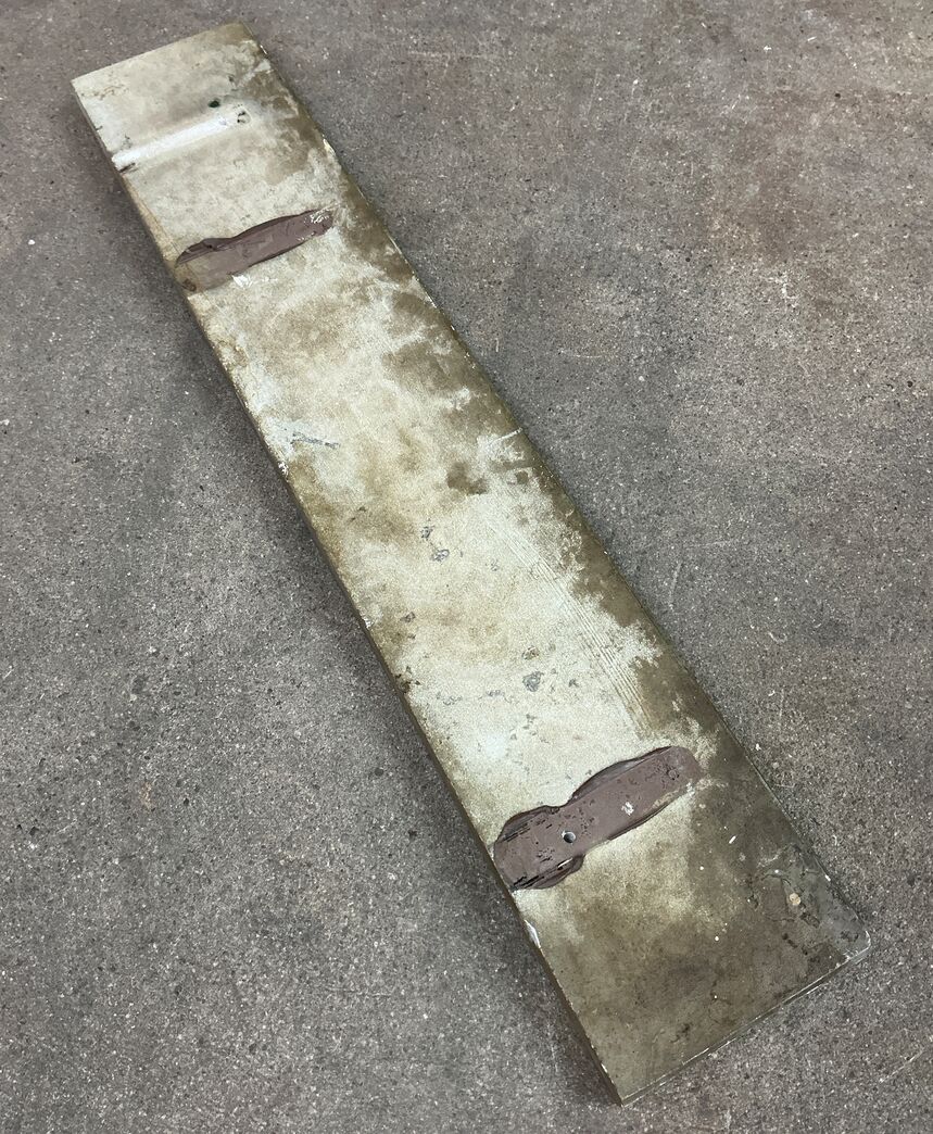 Ølandssten med 22 cm. fossil