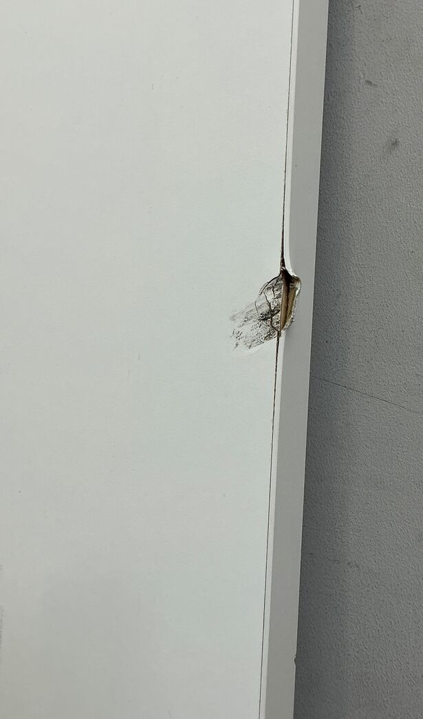 BD30 branddør vh. fra Swedoor