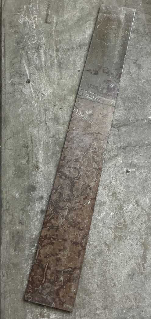 Ølandssten med to fossiler