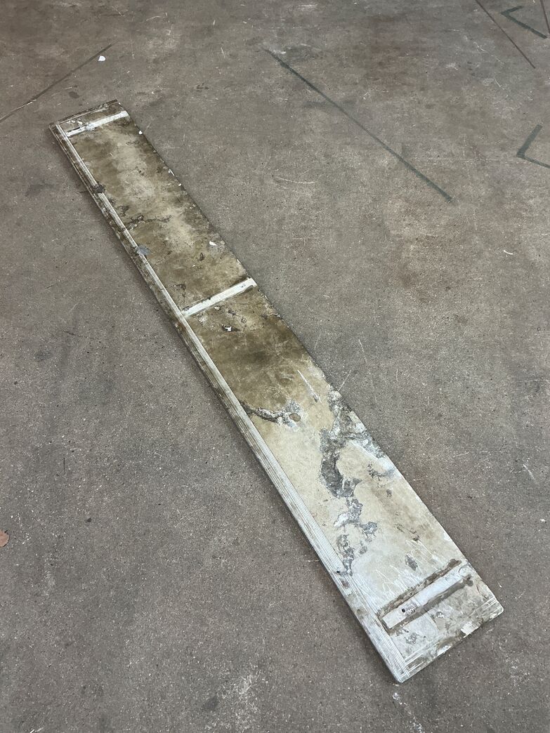 Ølandssten med to fossiler