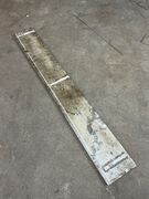 Ølandssten med to fossiler