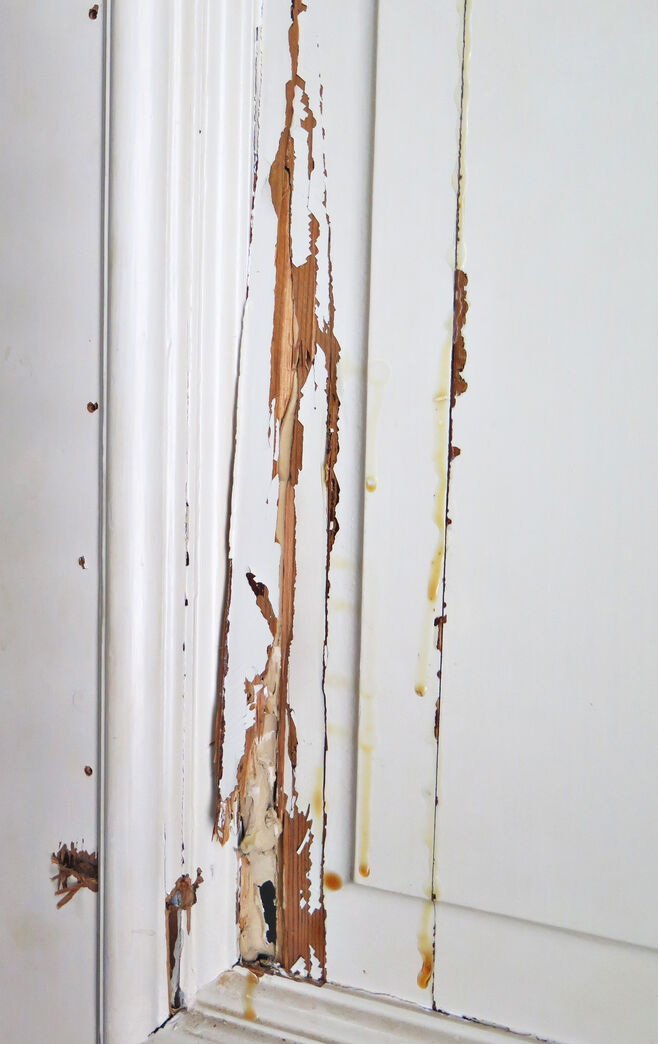 Fyldningsdør med karm (med skade)