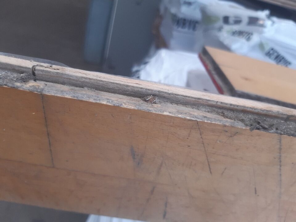 Bøgeparket fra sportshal