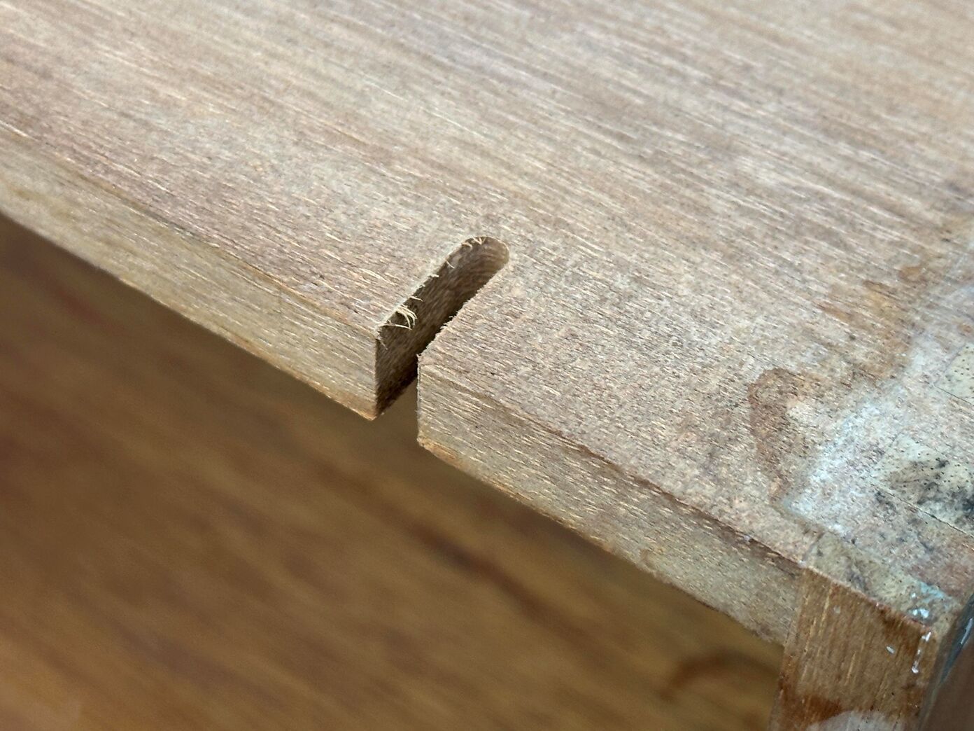 Tectum krydderihylde