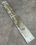 Ølandssten med to 14 cm fossiler