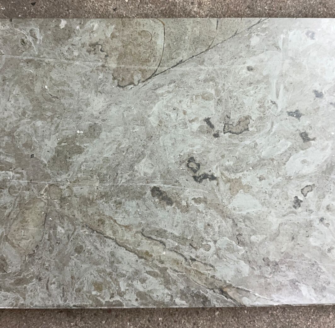 Ølandssten med tre fossiler