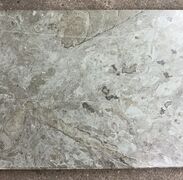 Ølandssten med tre fossiler