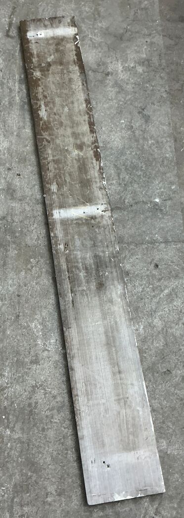 Ølandssten med to fossiler