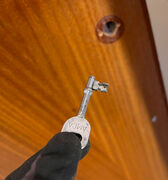 Mahognifineret dør med karm