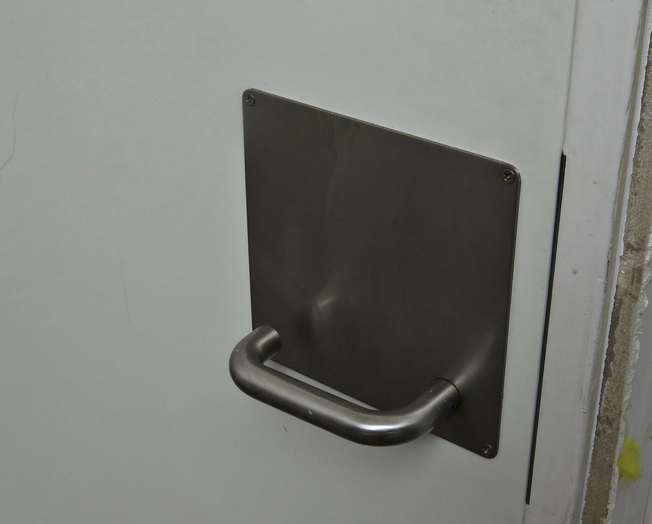 Massiv Swedoor