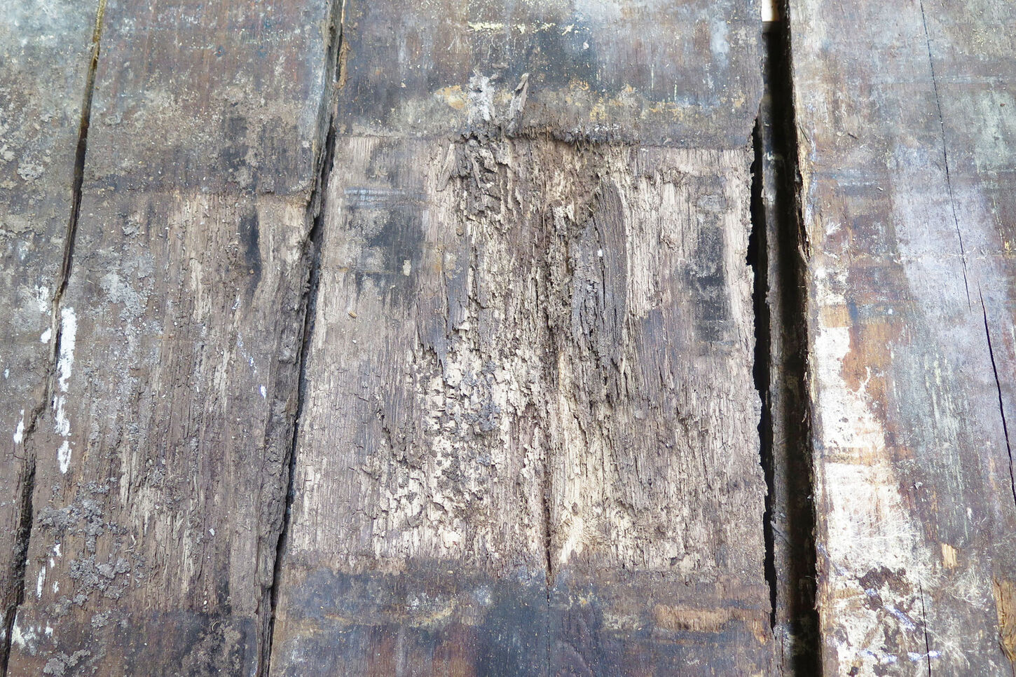 Egetræ fra Operaen - bagsiden af bjælken, frasorteret