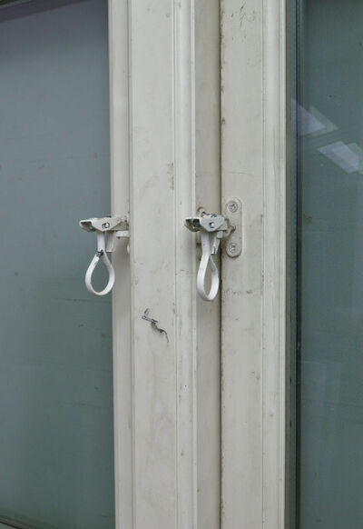 Termovindue med sprosser fra Rationel