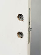 Swedoor branddør BD30 M10 med karm, vh