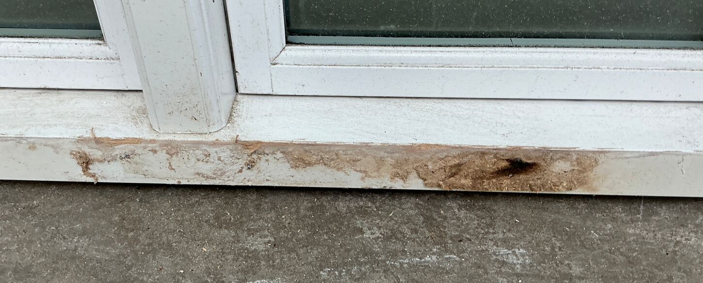 Grønt energivindue m/matteret glas