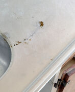 Originalt komplet 60'er køkken