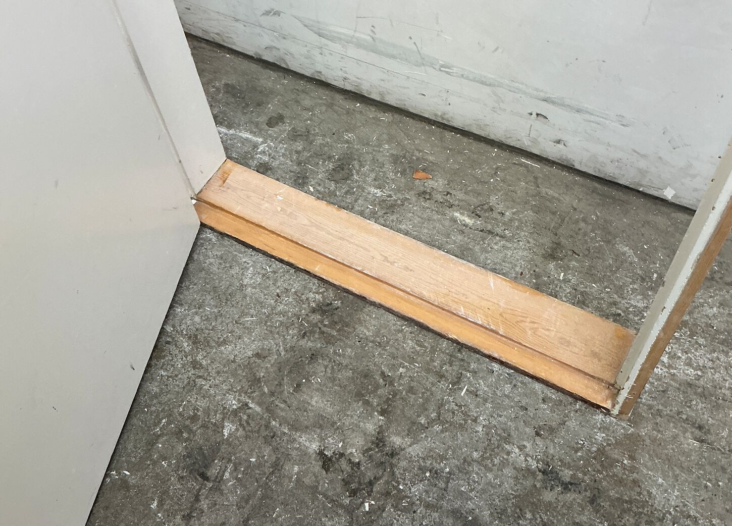 Indvendig celledør med karm