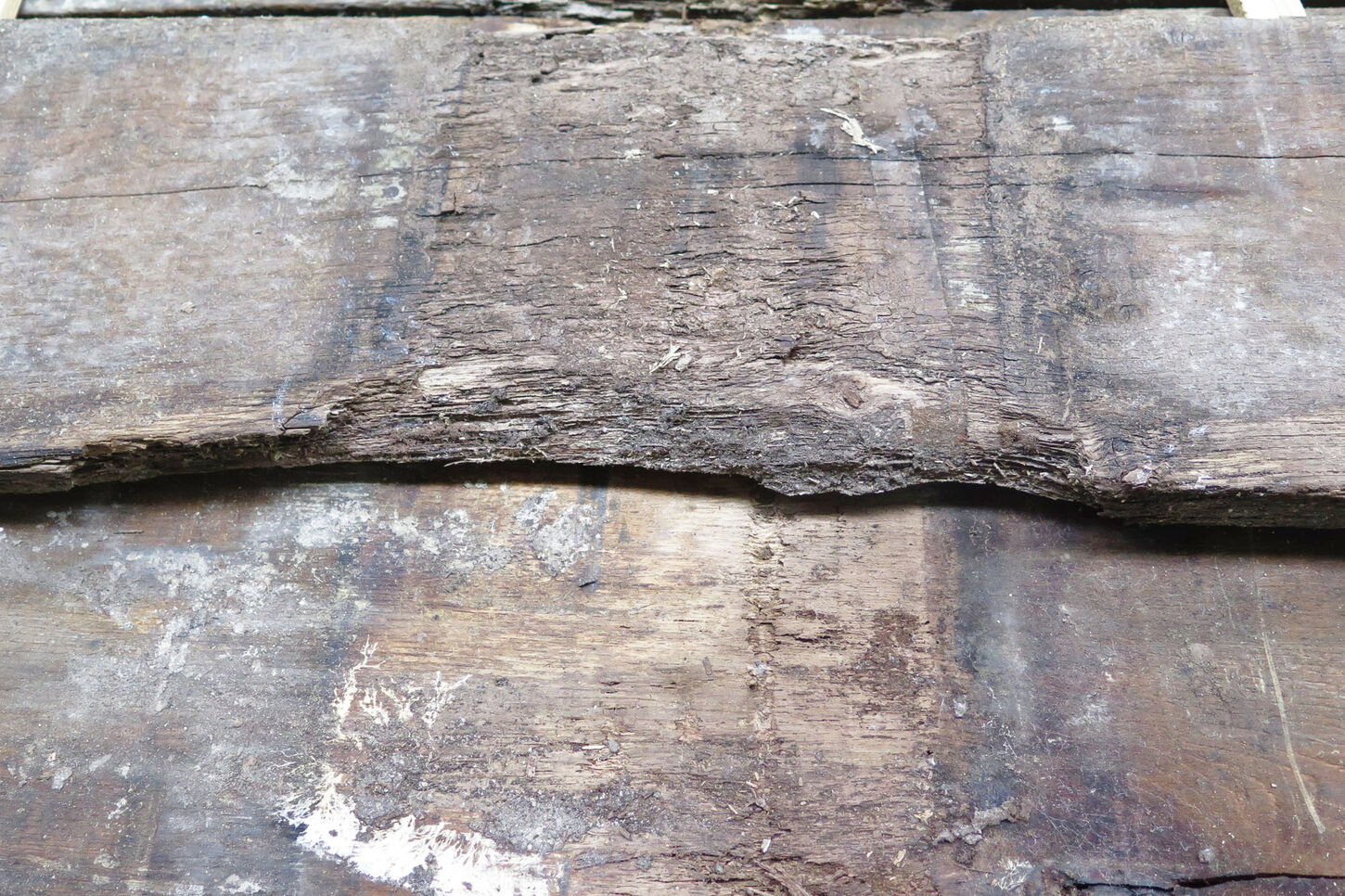 Egetræ fra Operaen - bagsiden af bjælken, frasorteret