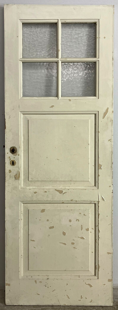 Fyldningsdør med glas