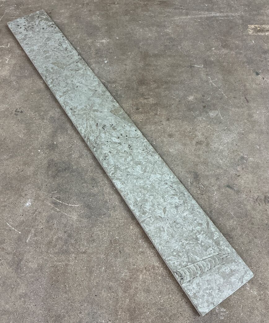 Ølandssten med tre fossiler