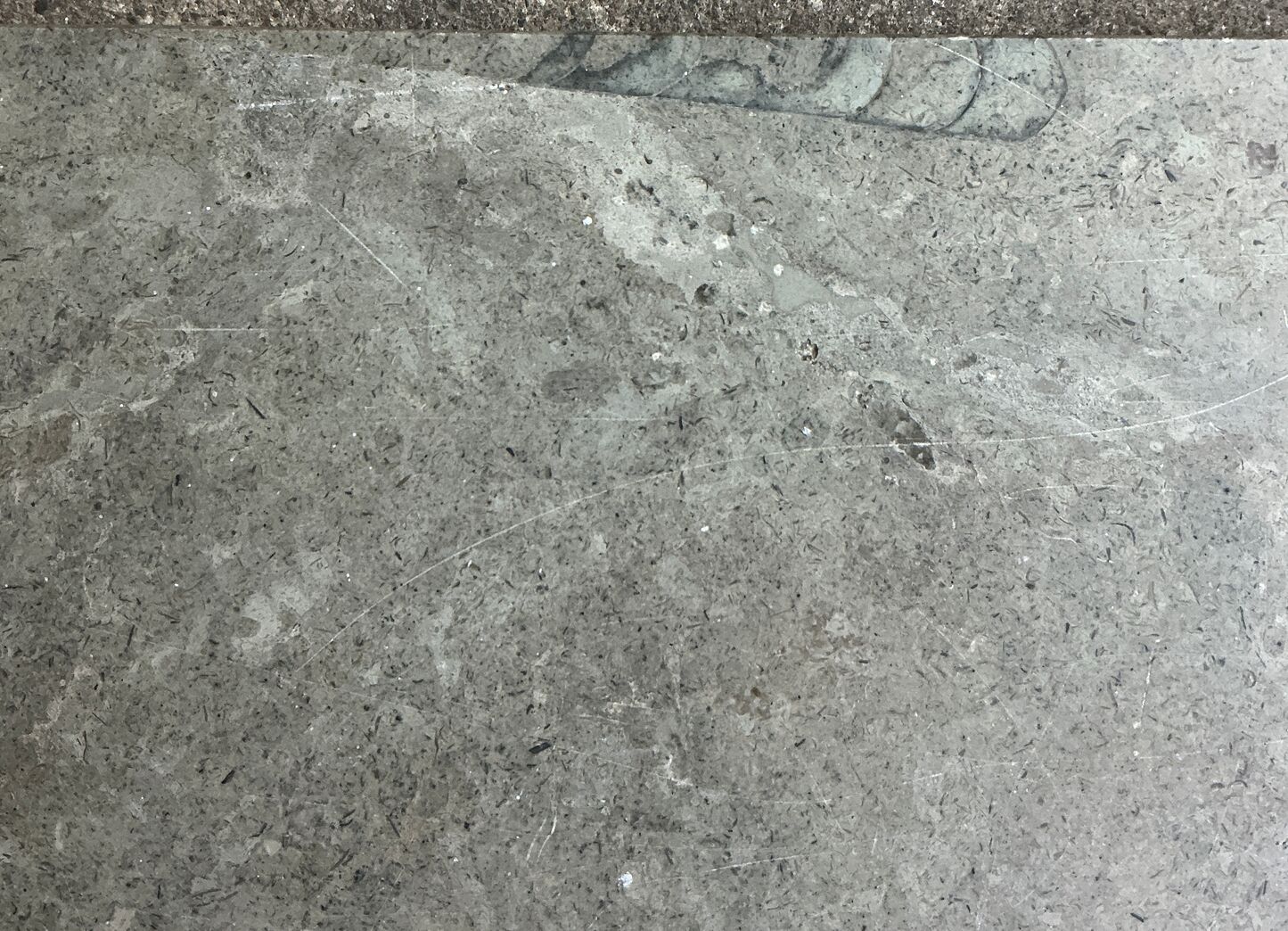 Ølandssten med tre fossiler