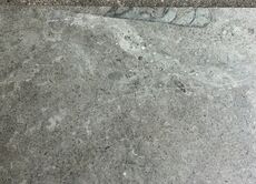 Ølandssten med tre fossiler