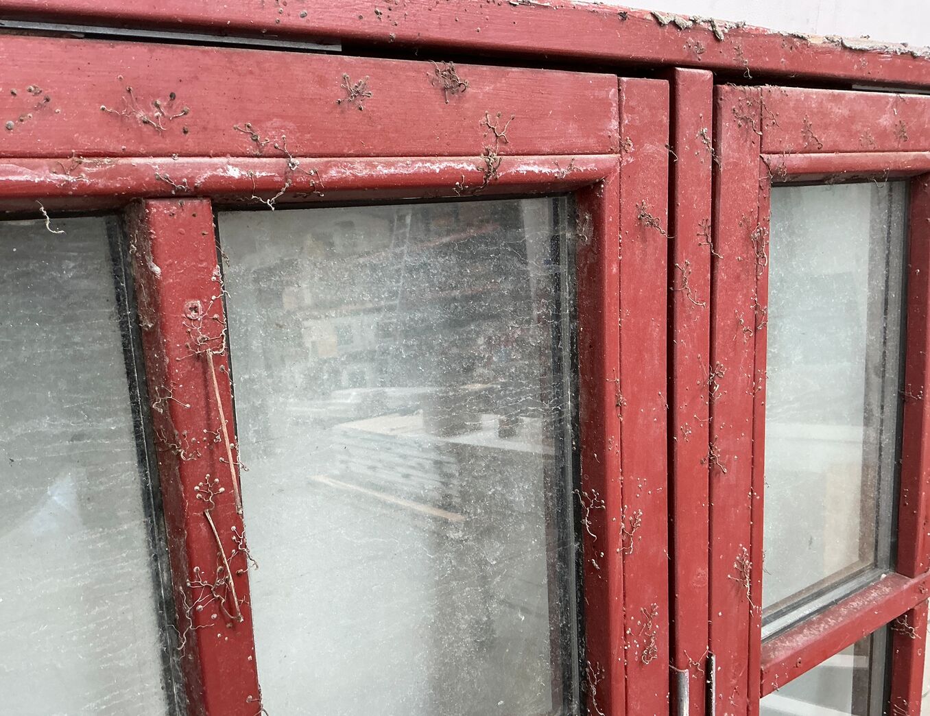 Termovindue til orangeri