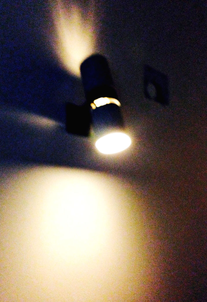 Spot