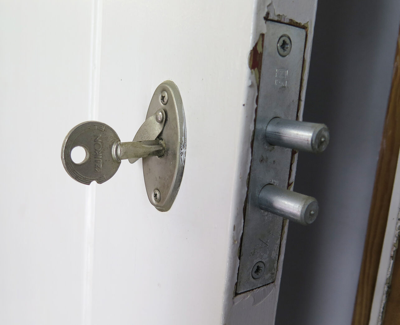 Opgangsdør med karm