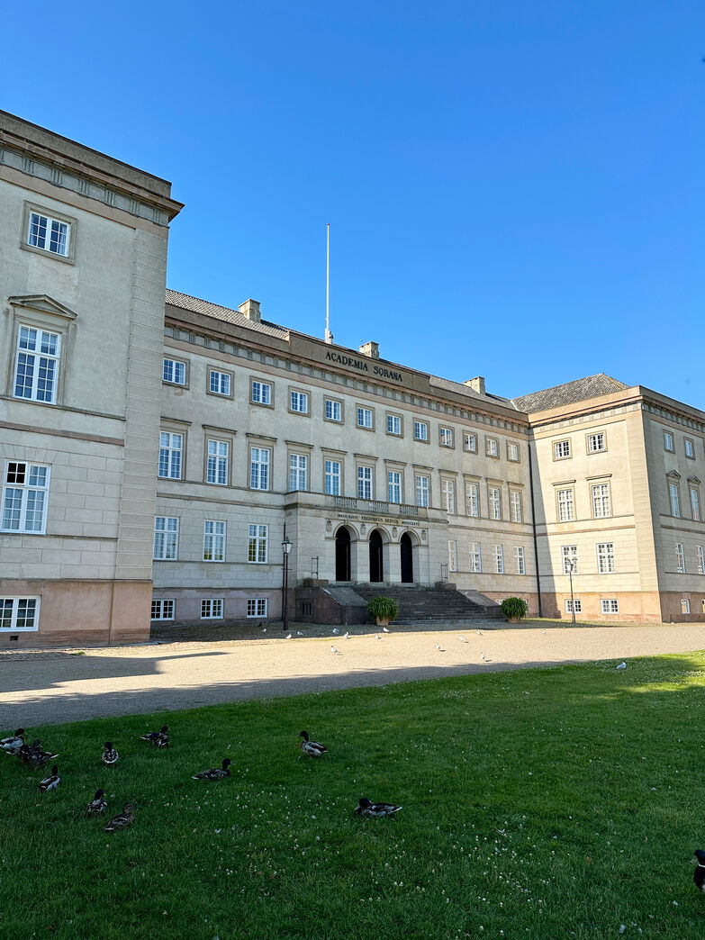 Bøgeparket fra sportshal