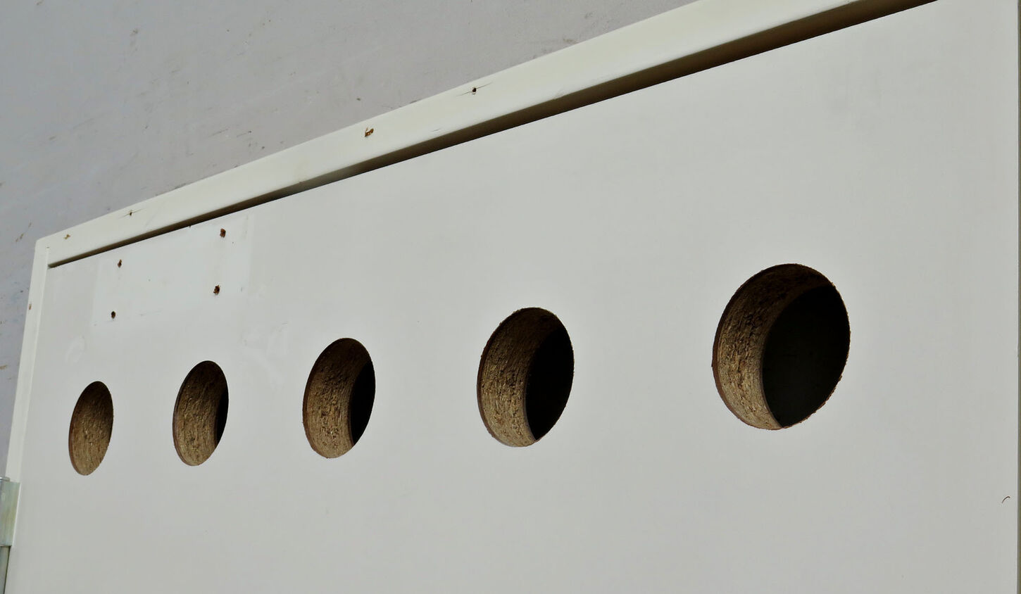 Swedoor branddør BD30 M10 med karm