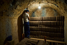 Røde rektangulære gulvtegl - 12 x 25 cm Røde rektangulære gulvtegl - 12 x 25 cm