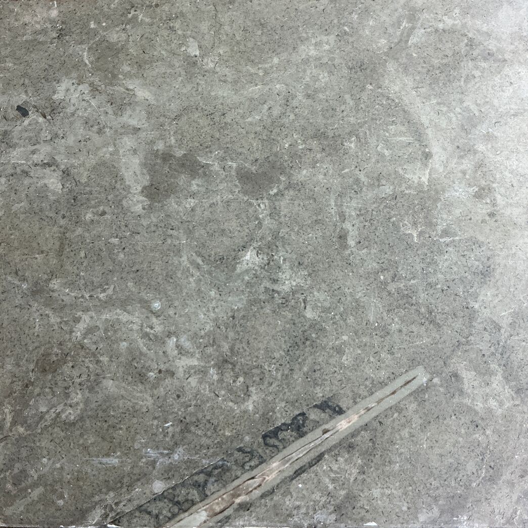 Ølandssten med tre fossiler