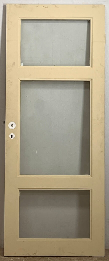 Fyldningsdør med glas