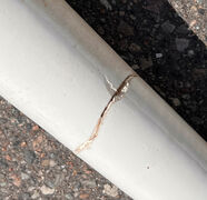 Vintage håndvask